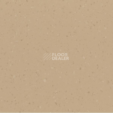 Линолеум Polyflor Palettone Pur Urban-Air-8646 Бежевый фото 1 | FLOORDEALER